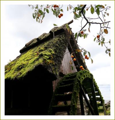 Solitary Journey［1653］雨天でもGOGO！秋の山陰車旅♪＜御机・花回廊・天の真名井・妻木晩田遺跡・松江城＞鳥取県～島根県