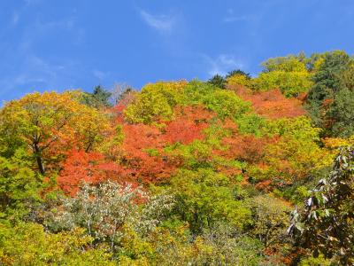 福島県横断の旅。あぶくま洞。宮古地区の蕎麦。檜枝岐の紅葉。