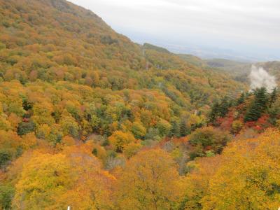 みちのくに秋を見つけに行きました　～風の中、紅葉探して八幡平