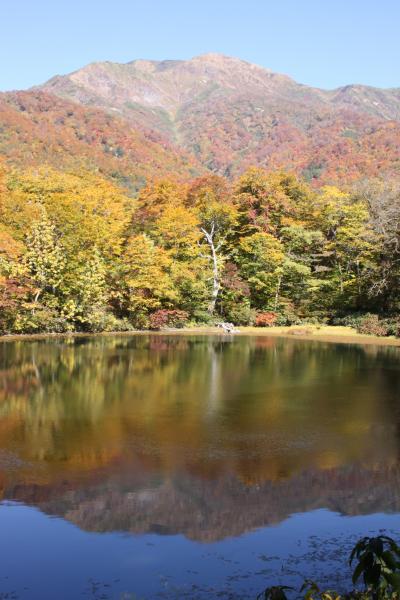 紅葉真っ最中の福井再発見　刈込池