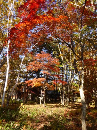 　県道３６号線 盛秋