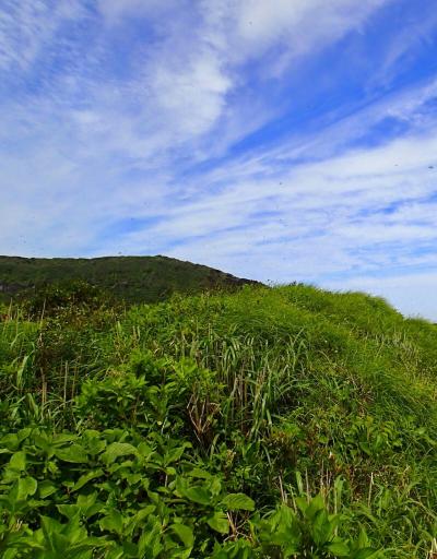 １泊３日(船中一泊）で南国へ①～八丈島１日目