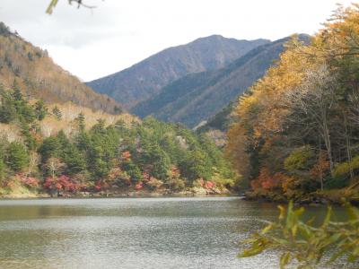 秋の刈込湖切込湖ハイキング～紅葉の湖・黄葉の涸沼・光徳を楽しむ～