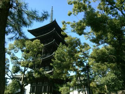 奈良で癒し旅