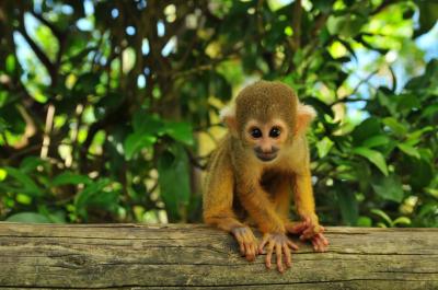 沖縄　８日間　癒しの旅　その３