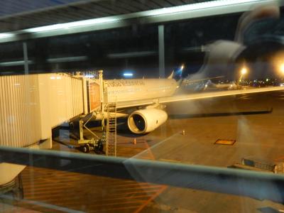 GA ジャカルタ→デンパサール　A330-300 　エコノミークラス　搭乗記