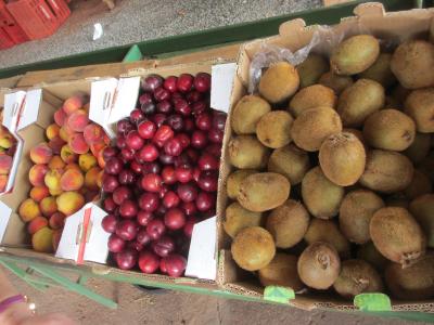 日曜日はフェイラで日本語会話！