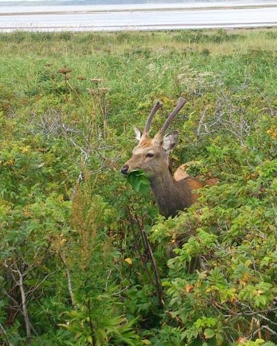 オホーツク沿岸から野付半島、そして知床へ。