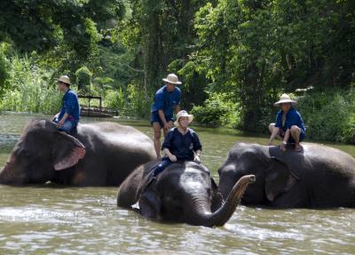 ラオス国境からミャンマー国境、タイ国立ゾウ保護センター