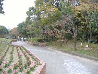 滋賀県守山市・ほたるの森資料館主催の環境学習会