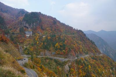 白山白川郷ホワイトロードの紅葉