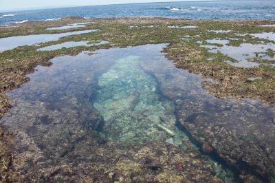 鹿児島から屋久島のゆる～い旅６　まだある屋久島の見どころ