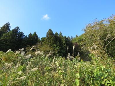 郷愁‐*新潟に行ってきました