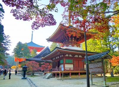 開創1200年の高野山へ　～山上の祈りの聖地を訪ねて～