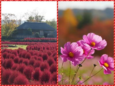 秋色を探しに・・・　☆みちのく杜の湖畔公園☆