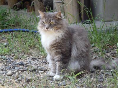 ≪国内ぷち逃走１３≫→北陸…３日目粟津温泉～御誕生寺～大阪