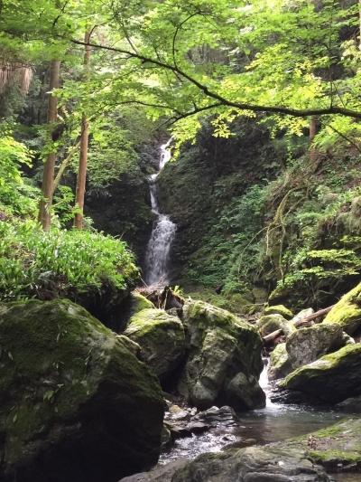 偶然たどり着いた！おおとしの滝