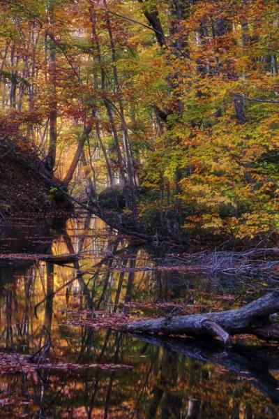 紅葉の白神山地・十和田湖への旅（1日目：城ヶ倉大橋、蔦沼）