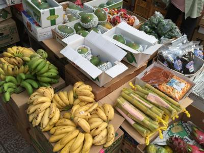 石垣島、小浜島４泊５日の旅⑧ （４日目～最終日:石垣島～千歳）