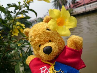 2015夏休み☆今年は陸路国境越えするのだ!