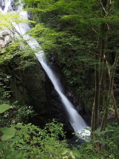 新城滝めぐり（３）　滝メグラーが行く２００　百間滝