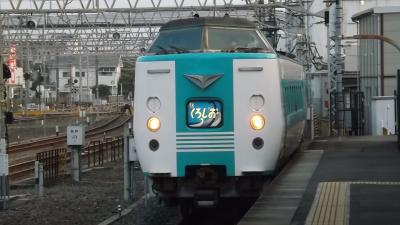 乗ってみたかった特急くろしおに乗り、和歌山県に行く。「特急