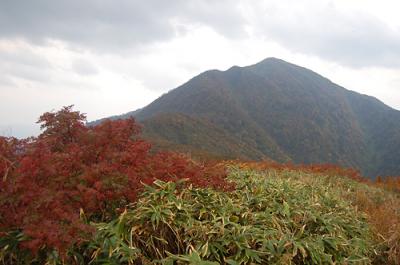 北陸の百名山2座遠征　荒島岳 ブナ林色づきはじめ　（2日目）