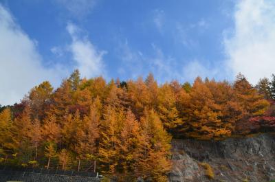 あっちに行ったり、こっちに行ったり… 2.富士スバルラインを富士山五合目に 2015.10.22