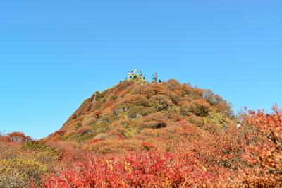 大船山の紅葉