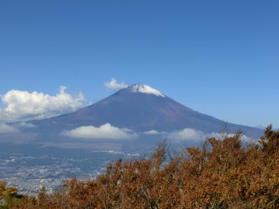 秋の箱根を堪能せよ！