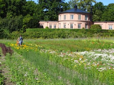 真夏のスウェーデン8日間・エステルマルム市場とお店めぐり～ローゼンダールガーデン。