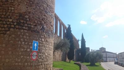 人工透析をしながら日本人が行かない所を観光。