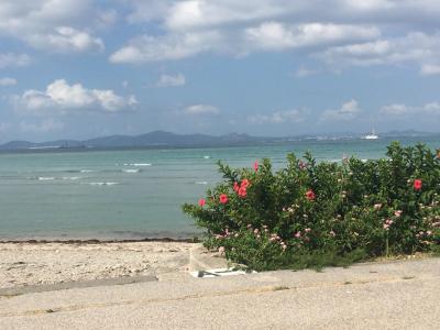 コンドミニアムに泊まる3泊4日の沖縄の旅。