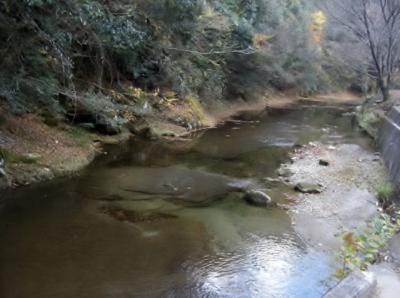 真っ赤に紅葉した楓、錦谷温泉せせらぎの郷　華じ花