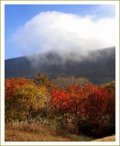 Solitary Journey［1663］赤色や黄色に染まった山々が秋の賑いを見せていました♪＜比婆道後帝釈国定公園・吾妻山＞広島県庄原市