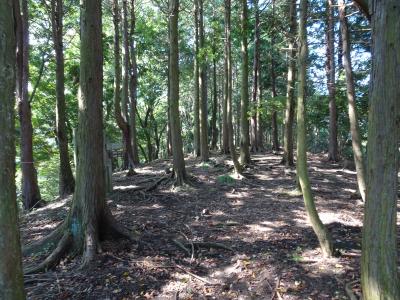 丹沢の広沢寺温泉から日向薬師をハイキング