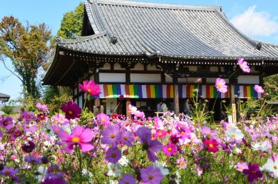 ２０１５年１０月　誕生日を大好きな大阪でお祝いしよぉ♪「サラベス」で朝食～コスモス寺「般若寺」へ～