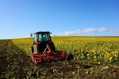 秋の美瑛で丘めぐり