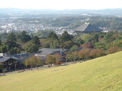奈良　紅葉たより　春日山遊歩道と若草山山頂