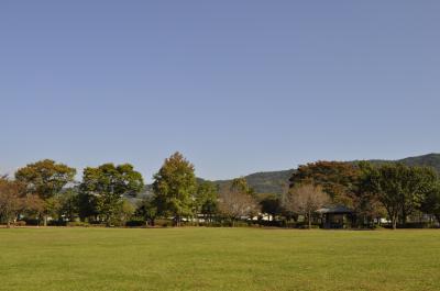 ぶらり～小田原・下府中公園～