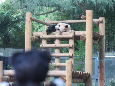 上野動物園へ行ってきました。