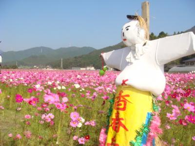 思いたったら決行の秋のプチ日帰り旅行