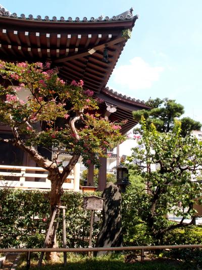 ２；大阪寸描２−１；芭蕉の句碑に会いに・太融寺