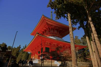 旅するイルカ♪　紅葉狩り　高野山へ