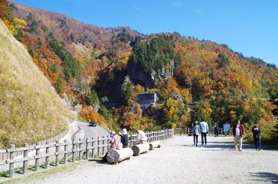 [15]紅葉の「白山白川郷ホワイトロード」