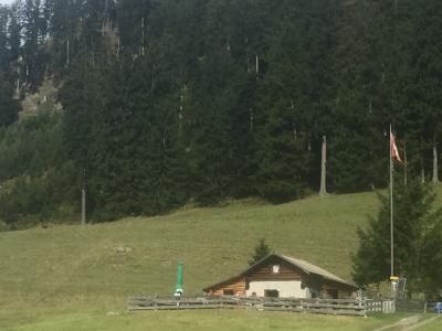 スイスで観光とハイキング　8日目　ハイジの旅　やっぱりおじいさんの家には行こう！