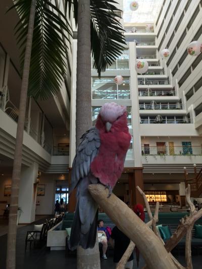 沖縄＠ゴールデンルート