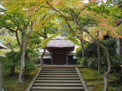 秋の鎌倉旅行記★紅葉初めの円覚寺と竹の報国寺