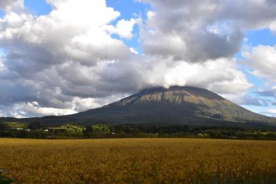 函館本線「山線」 鉄道とバス代行の旅（北海道）