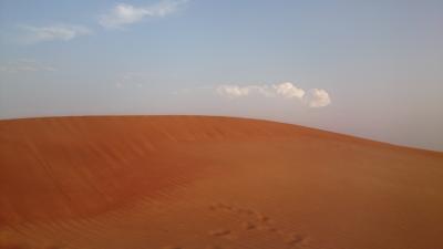 花よりドバイ♪①Dubai mall,